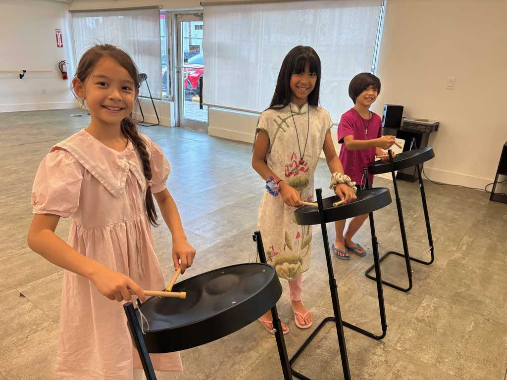 Adult Steel Pan Lessons